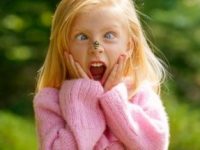 Remédios caseiros para a picada de abelha e vespa