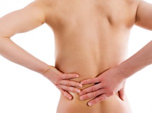ervas medicinais para os rins