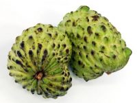 Receitas caseiras com graviola