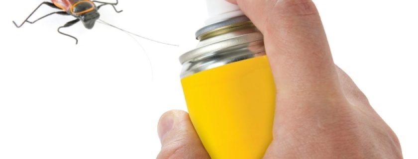 Repelentes naturais para combater as baratas