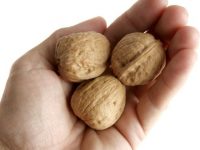 Efeitos das nozes sobre o cérebro