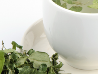 Propriedades e benefícios do chá de moringa para a saúde