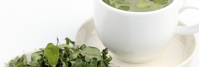 Propriedades e benefícios do chá de moringa para a saúde