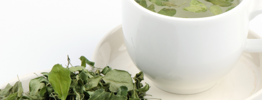 Propriedades e benefícios do chá de moringa para a saúde