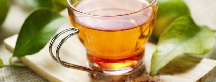 Propriedades curativas do chá de rooibos