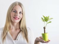 Propriedades dos alimentos germinados