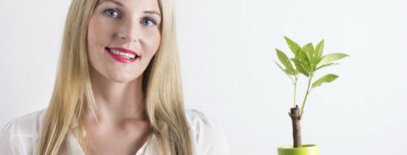 Propriedades dos alimentos germinados