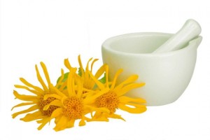 propriedades da arnica