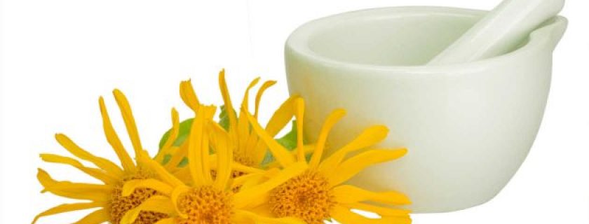 Propriedades da arnica