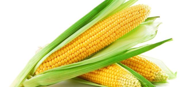 Propriedades do milho para a saúde