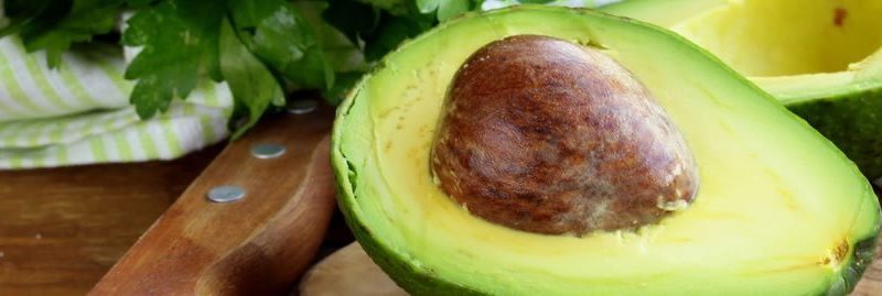 10 razões para incluir a semente de abacate na dieta