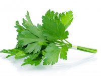 Benefícios do coentro para a saúde