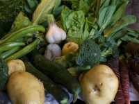 Tipos de vegetais para emagrecer