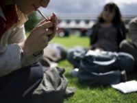 Fumar maconha na adolescência danifica a inteligência por toda a vida