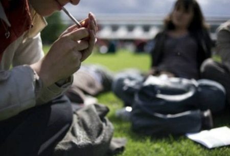 Fumar maconha na adolescência danifica a inteligência por toda a vida