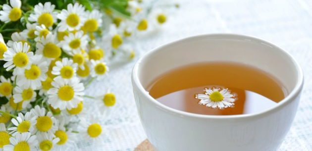 Chá de camomila para tratar infecções urinárias