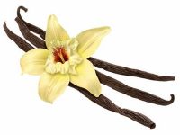 Propriedades da baunilha para a saúde