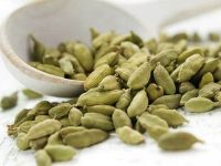 Cardamomo: uma erva aromática medicinal