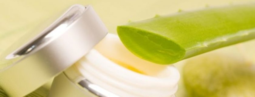 5 maneiras de usar o aloe vera em seu cabelo