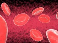 A anemia e o ferro