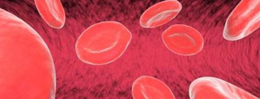 A anemia e o ferro