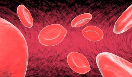 A anemia e o ferro