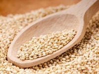 Quinoa para proteger o corpo