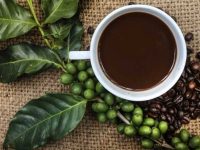 Emagreça com o café verde
