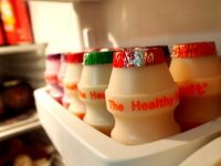 Os alimentos probióticos podem ser úteis para perda de gordura?