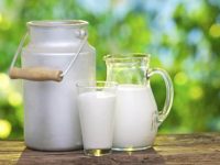 Benefícios e desvantagens do leite de vaca