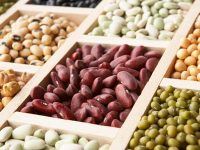 O teor de proteína de vários legumes