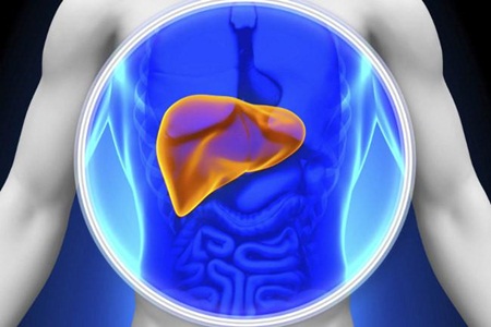 O que é fígado gorduroso e como preveni-lo