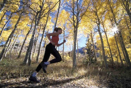 Alguns benefícios de correr na natureza