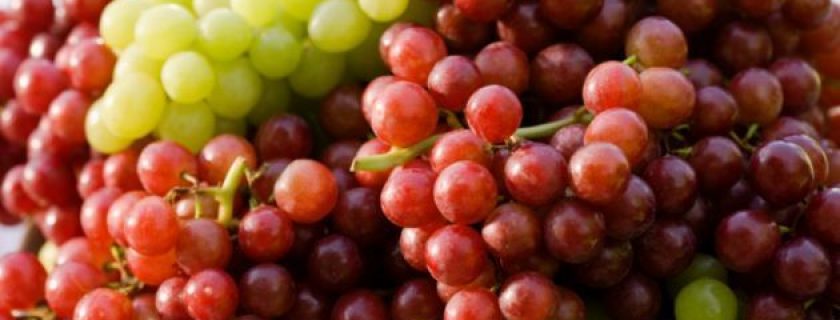 Tratamentos naturais contra o alcoolismo
