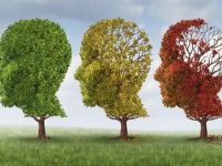 Dia Mundial da Doença de Alzheimer: A prevenção ao fazer exercícios