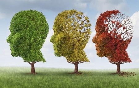 Dia Mundial da Doença de Alzheimer: A prevenção ao fazer exercícios