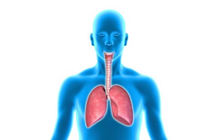 Parar de fumar, benefícios imediatos para o corpo