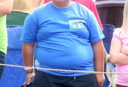 Períodos em que há um risco maior em desenvolver a obesidade infantil