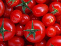 Dieta contra o câncer