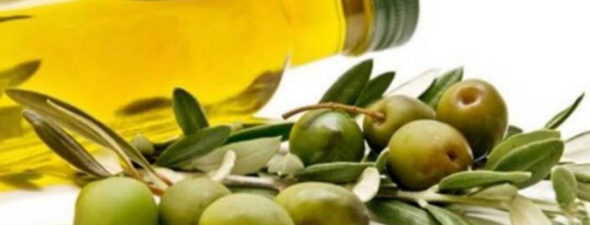 5 alimentos que previnem o câncer de mama