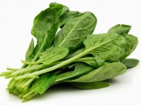 6 poderosos alimentos para combater a anemia