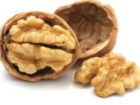 Alimentos essenciais para melhorar a memória e aprendizagem