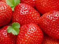 Saboroso e saudável: veja os benefícios do morango para os dentes