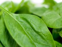 4 super alimentos para cuidar da saúde do pâncreas