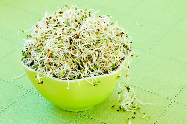 Brotos conheça os seus incríveis benefícios para a saúde