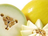Verão: as melhores frutas para se manter hidratado