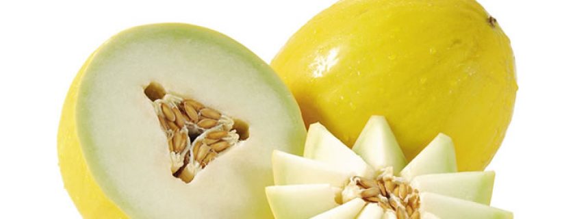 Verão: as melhores frutas para se manter hidratado