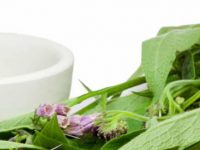 Plantas medicinais com benefícios incríveis para os músculos