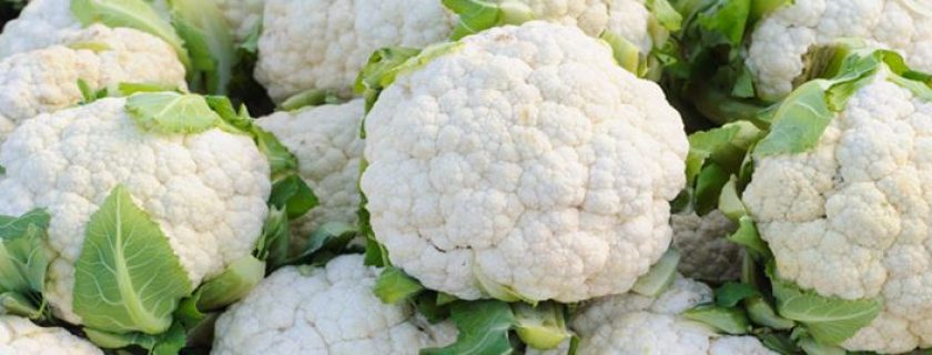 Couve-flor: um alimento com inúmeros benefícios
