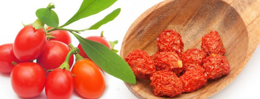 10 grandes benefícios da goji berry para a saúde